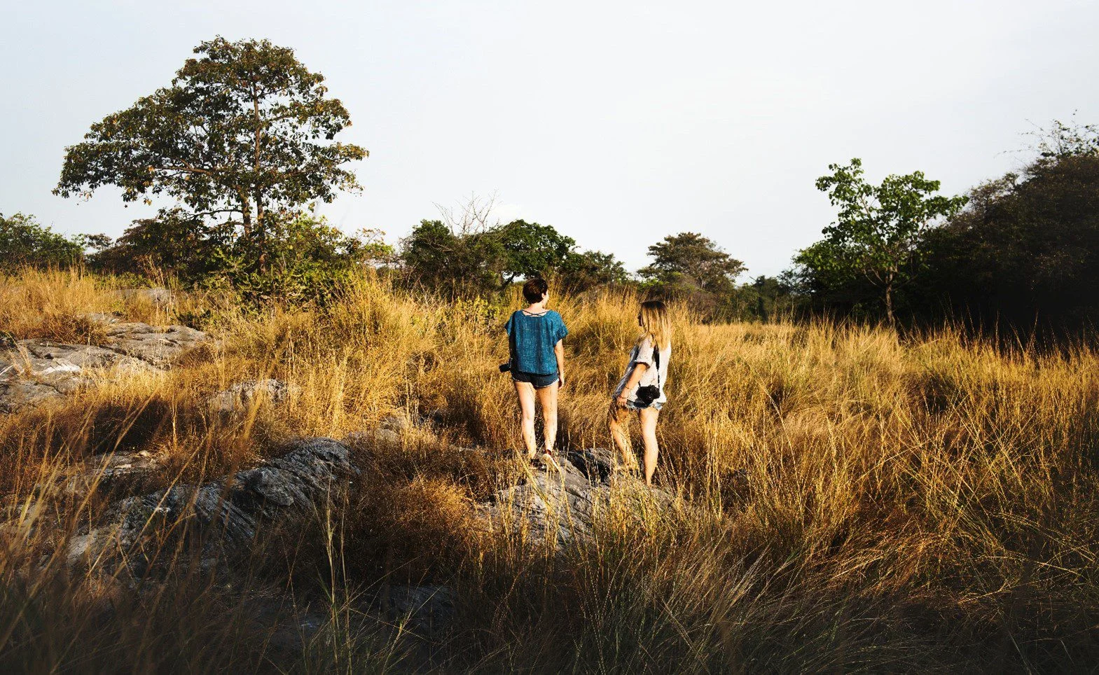 Private Safari Freedom in Tanzania
