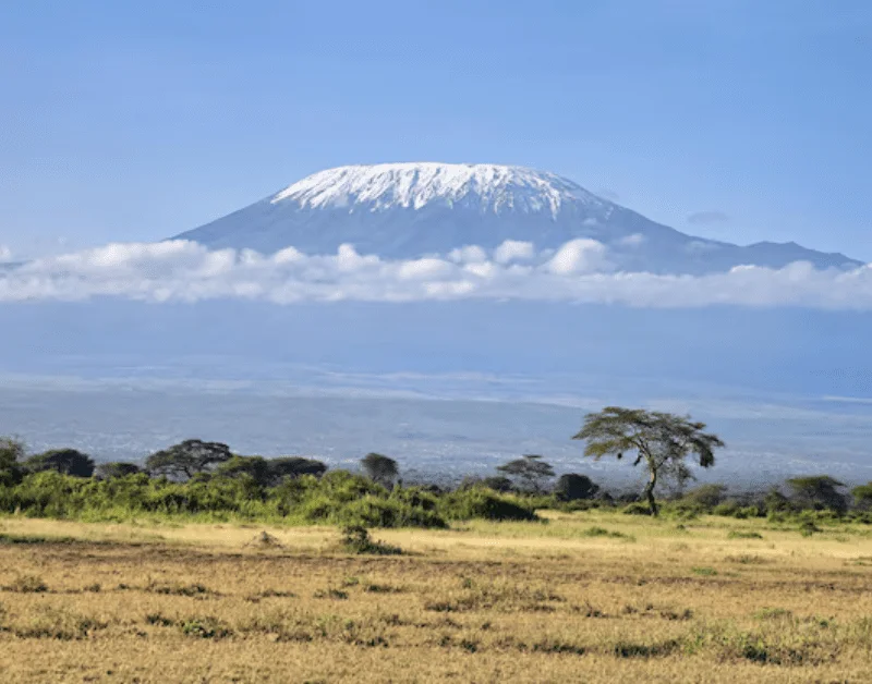Best Kilimanjaro Tour Companies