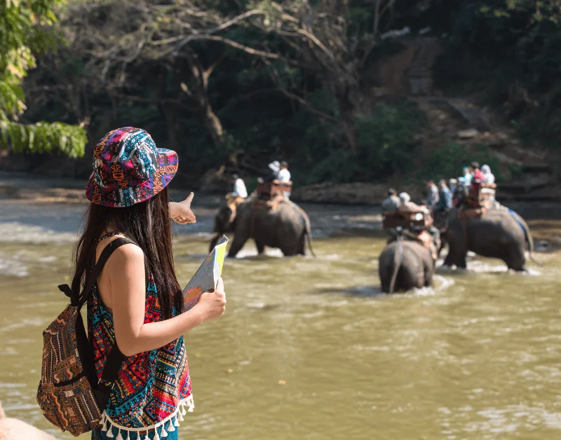 Tanzania Safari and Zanzibar Tours