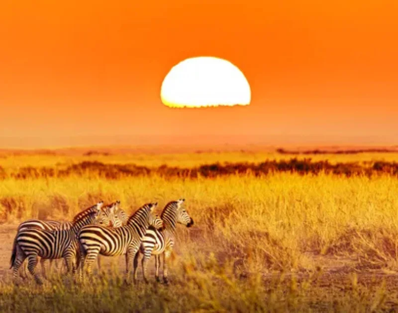 safari holiday in tanzania