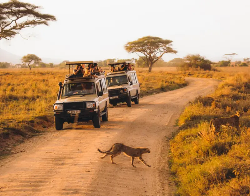 trip to tanzania